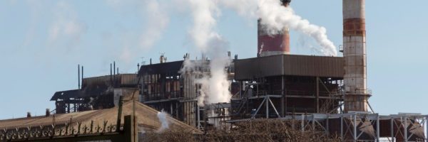 Immagine 2025-05-22 085236